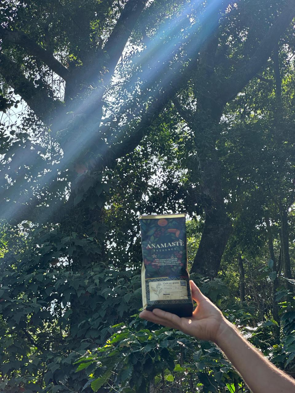 ANAMASTE DESTINO EXCELSO - Café de Especialidad 350g